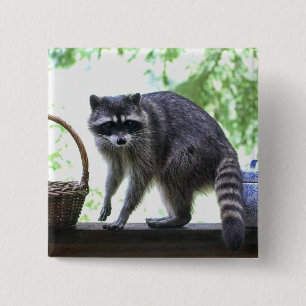 Racoon and Cookie Jar 15 Cm Square Badge