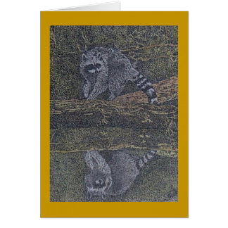 racoon and reflection
