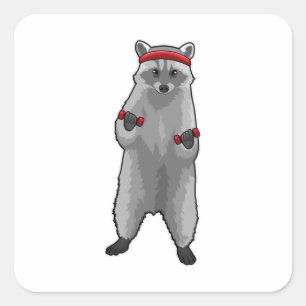 Racoon at Fitness with Dumbbells Square Sticker