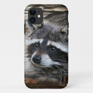 Racoon At The Old Barn iPhone 11 Case