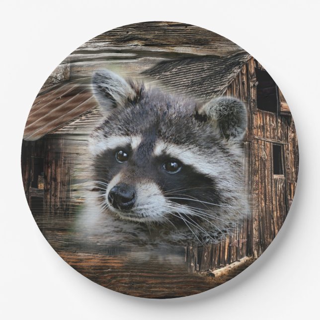 Racoon At The Old Barn Paper Plate (Front)