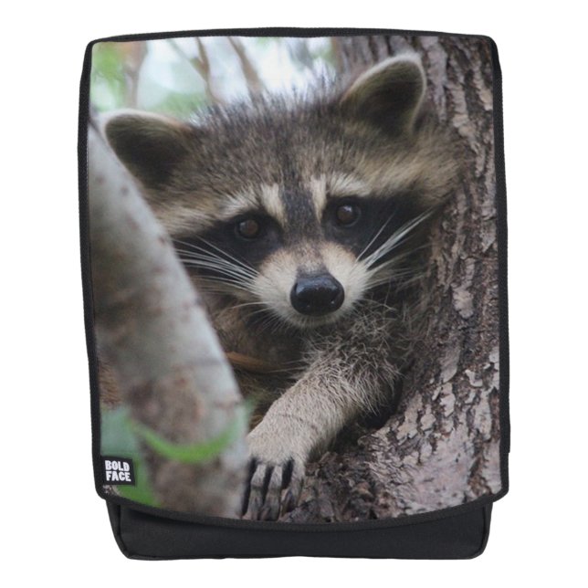 Racoon Backpack (Front)