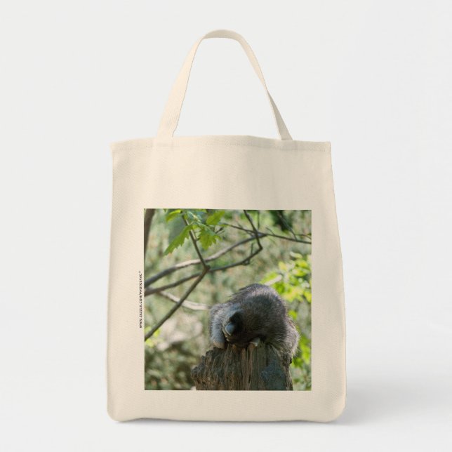 Racoon Bag (Front)