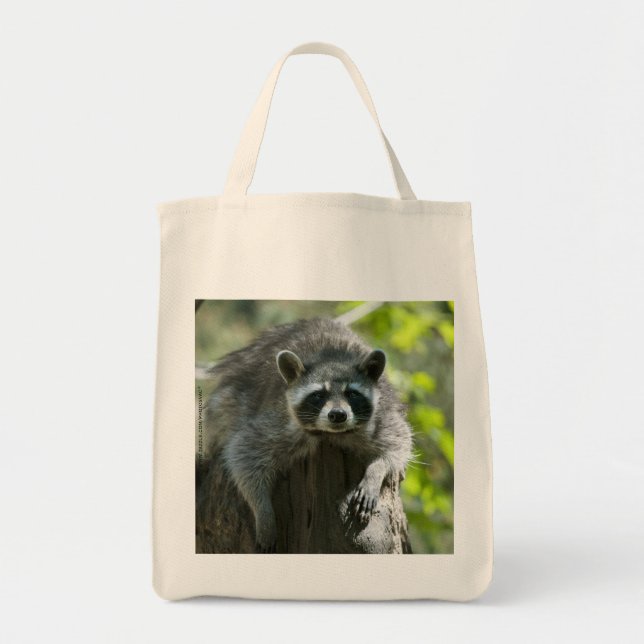Racoon Bag (Front)