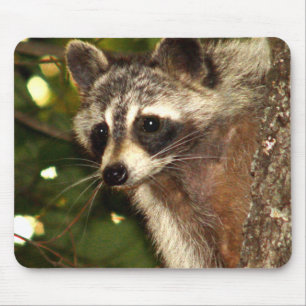 Racoon "Bandit" Mousepad