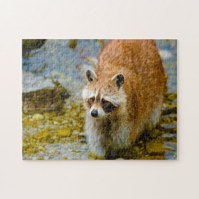 Racoon Bears. Jigsaw Puzzle (Horizontal)