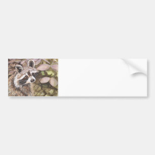 Racoon Bumper Sticker