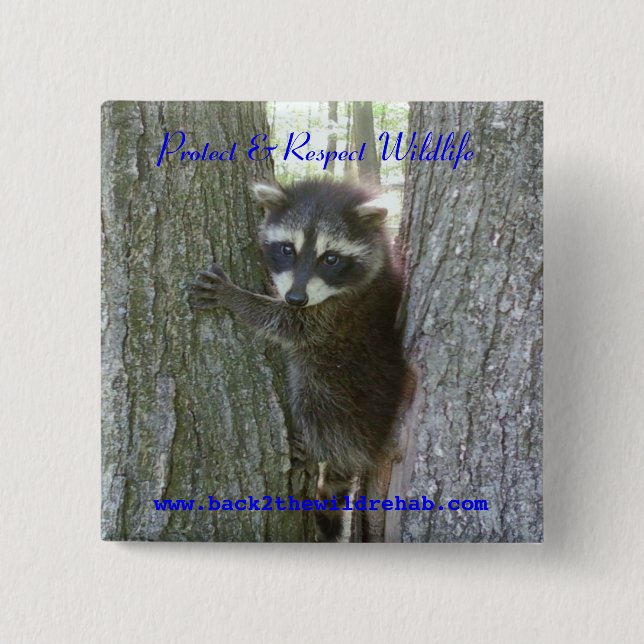 Racoon Buttoon 15 Cm Square Badge (Front)
