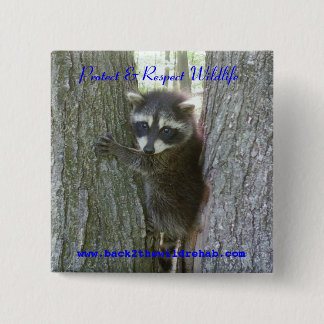 Racoon Buttoon 15 Cm Square Badge