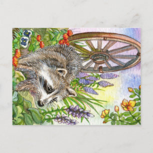Racoon By Flower Garden Postcard