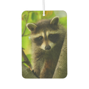 racoon car air freshener