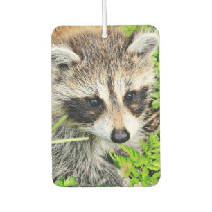 racoon car air freshener