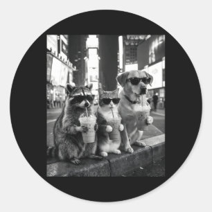 Racoon Cat Dog Drinking Iced Coffee Funny Animal Classic Round Sticker