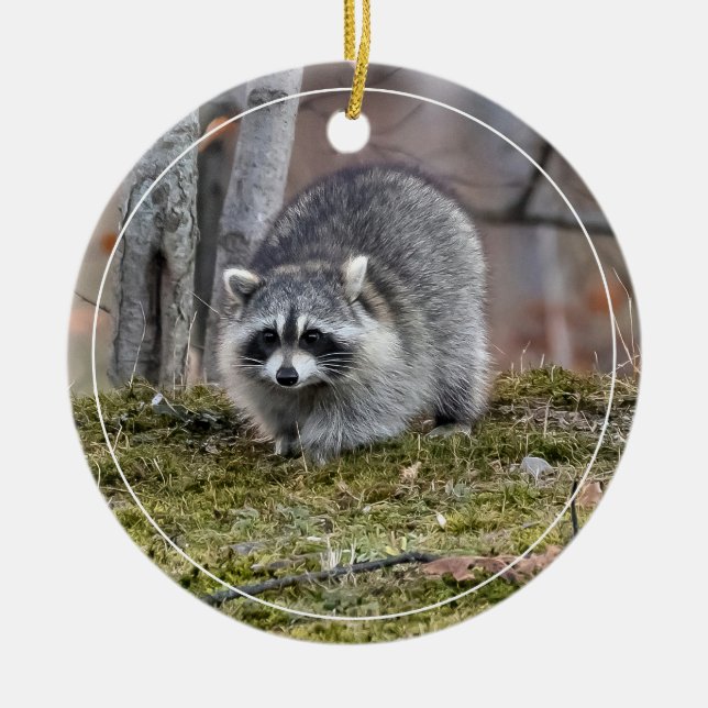 Racoon Ceramic Ornament (Front)