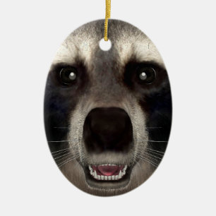Racoon Ceramic Ornament