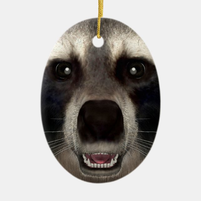 Racoon Ceramic Ornament (Front)