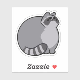 Racoon CHONK