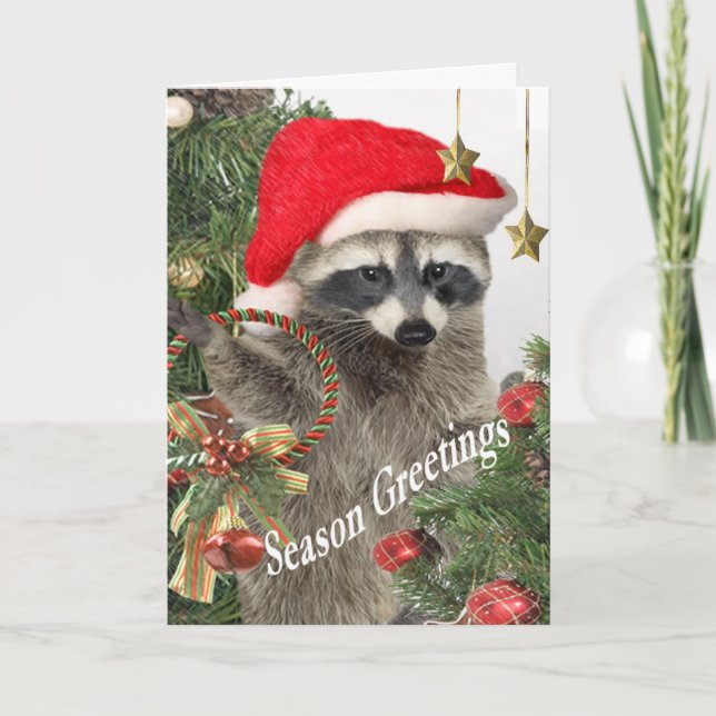 Racoon Christma A Time For Fun Cards (Front)