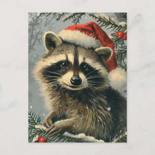Racoon Christmas Postcard