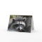 Racoon Close-Up Card