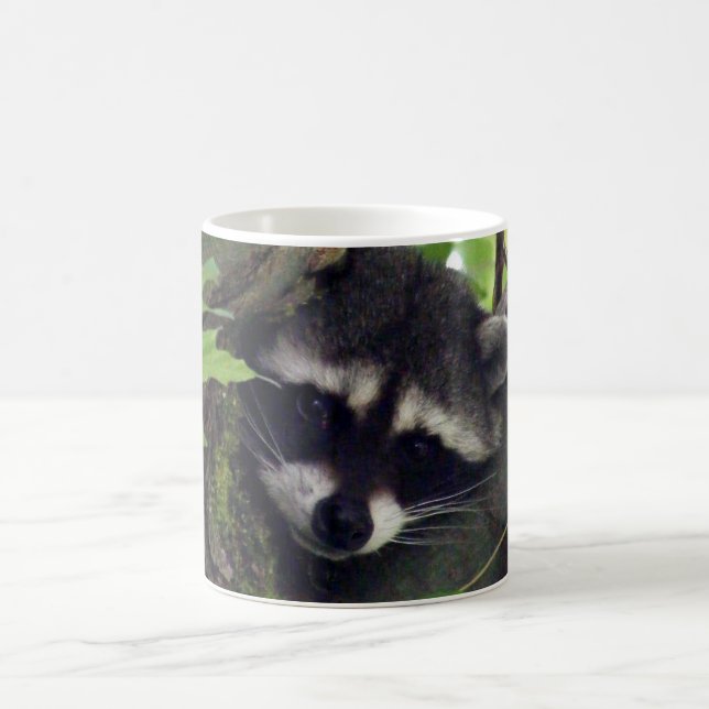 Racoon Coffee Mug (Center)