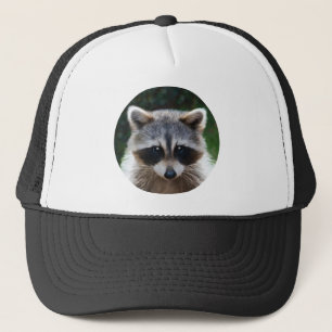 Racoon Coon Wild Animals Wildlife Hat