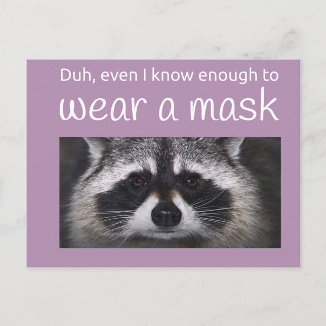 Racoon Covid ask for the Mask by Funnycomb Postcard (Front)