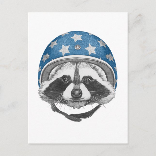 Racoon Daredevil Postcard (Front)