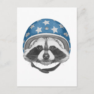 Racoon Daredevil Postcard