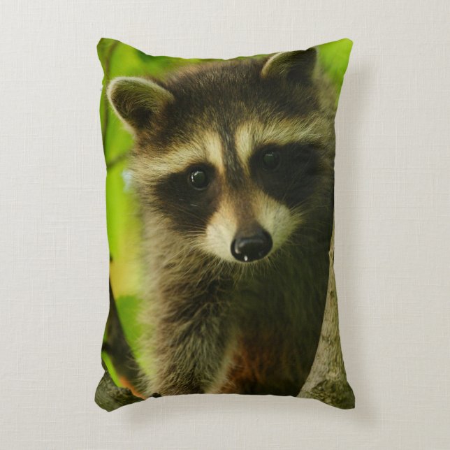 racoon decorative cushion (Front(Vertical))