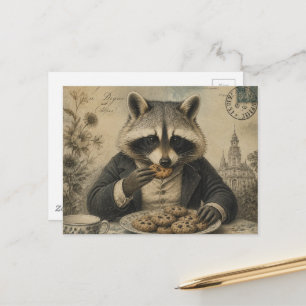 Racoon Eating Cookies Vintage  Postcard