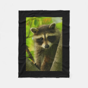 racoon fleece blanket