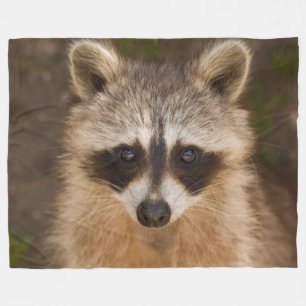 Racoon Fleece Blanket