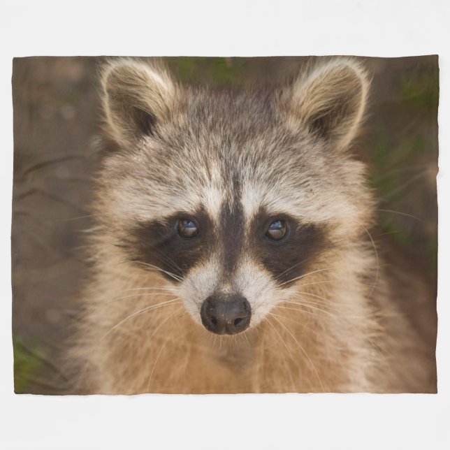 Racoon Fleece Blanket (Front (Horizontal))
