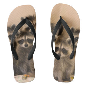 Racoon flip flops. thongs