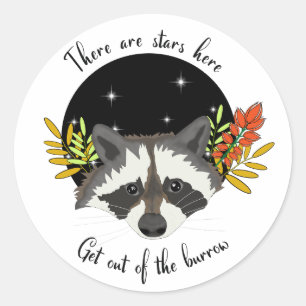 Racoon. Get out of your hole! Classic Round Sticker
