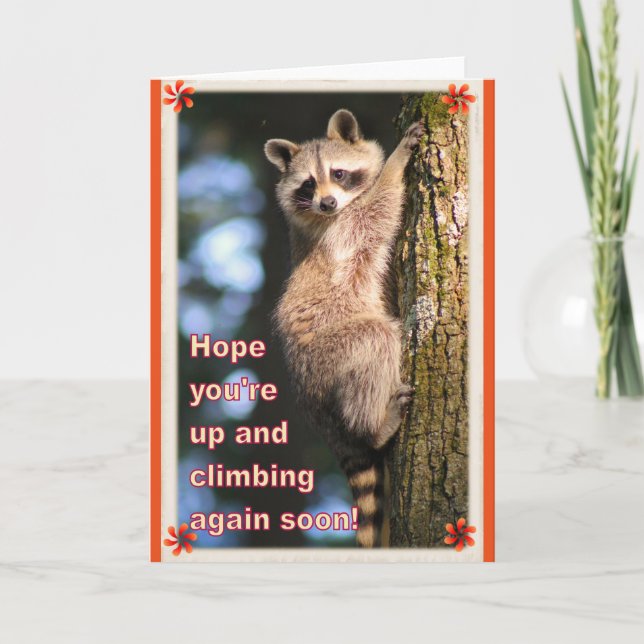 Racoon get well card. card (Front)