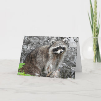 Racoon Greeting Card, Blank Inside Card
