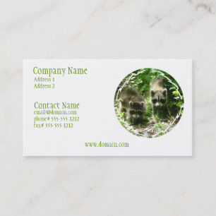 Racoon Habitat Business Card