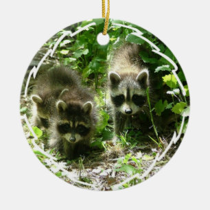 Racoon Habitat Ornament