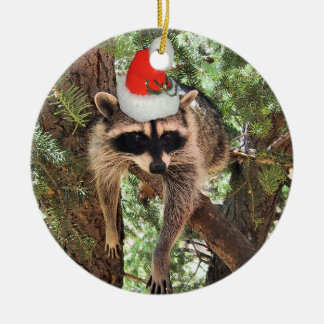 Racoon hanging in a tree wearing a Santa hat. Ceramic Ornament