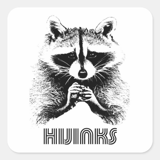 Racoon Hijinks Square Sticker (Front)