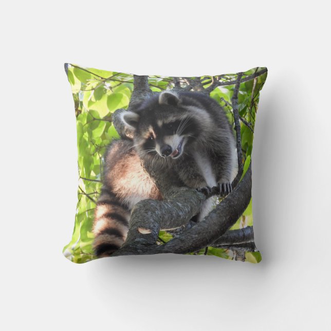 Racoon in a Tree   Cushion (Front)
