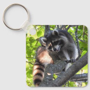 Racoon in a Tree  Key Ring
