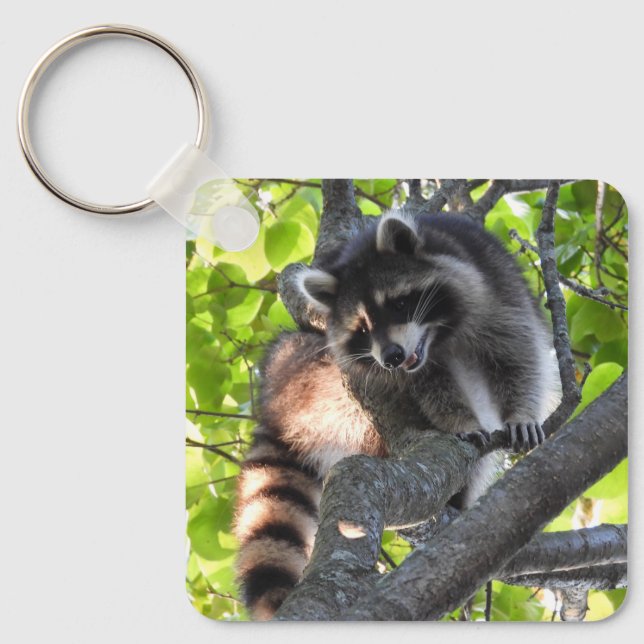 Racoon in a Tree  Key Ring (Front)