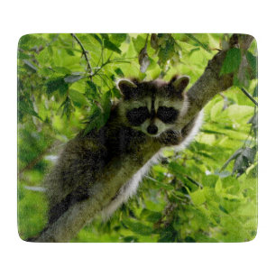 Racoon in Green Tree Cute grey masked racoon Cutting Board