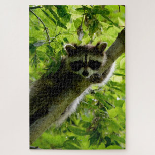Racoon in Green Tree Cute grey masked racoon Jigsaw Puzzle