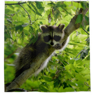 Racoon in Green Tree Cute grey masked racoon Shower Curtain