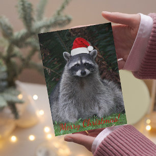 Racoon in Santa Hat Holiday Card