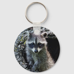 Racoon in the Den Key Ring